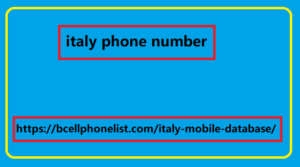 italy phone number